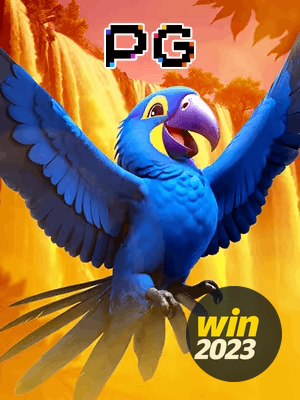 WIN 2023 bônus — cashback 15 por cento e níveis VIP
